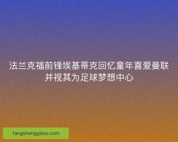法兰克福前锋埃基蒂克回忆童年喜爱曼联并视其为足球梦想中心