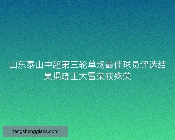 山东泰山中超第三轮单场最佳球员评选结果揭晓王大雷荣获殊荣